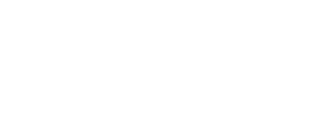 Megamind IT Solutions